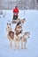 A husky dog sled carrying a sleigh with people in a snowy forest