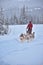 A husky dog sled carrying a sleigh with people in a snowy forest