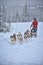 A husky dog sled carrying a sleigh with people in a snowy forest