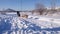 Husky dog sledge. Cute husky sledding dog. Siberian husky sled dog race competition.View from the sleigh