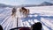 Husky dog sledge. Cute husky sledding dog. Siberian husky sled dog race competition.View from the sleigh