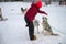 Husky dog in snow wonderland. Close-up portrait of a pretty woman in colourful clothing huging her husky dog in winter park