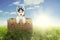 Husky dog in wicker basket at meadow