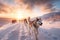 Husky dogs run through the snow at sunset harnessed to a harness
