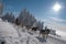 Husky dogsled on trail Sedivacek\'s long