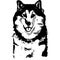 Husky hand drawn ink black and white vector illustration