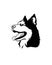 Husky head illustration. Logo dogs. Wolf emblem.