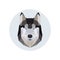 Husky head polygonal style.