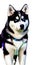 Husky illustration Artificial Intelligence artwork generated