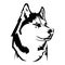 Husky logo. Portrait of a husky. Black and white dog head. Illustration of a pet. Tattoo.