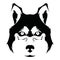 Husky logo. Portrait of a husky. Black and white dog head. Illustration of a pet. Tattoo.