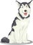 Husky or malamute dog cartoon