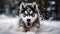 A husky puppy playing in the snow created with Generative AI