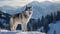 Husky's Snowy Mountain Expedition
