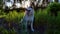 Husky sitting on ground near forest