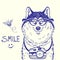 Husky smile doodle