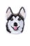 Husky with tongue out embroidered patch isolated on white background