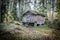 A hut in forest, old hut and vintage hut.