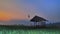 Hut in the green rice field at evening with beautiful sky background