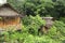 Hut in the jungle of Koh Rong