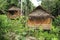 Hut in the jungle of Koh Rong