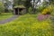 Hut at Kilnford Barns with Wildflowers