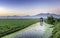 Hut in the middle of vast rice field