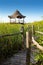 Hut palapa in mangrove reed wetlands