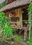 Hut on the road in the jungle on the Phuket in Thailand