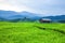 Hut and terrace rice field