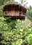 Hut in top of tree in jungle