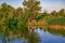 A hut under a tree on the coast of the Konka River in Kherson Ukraine. Natural landscape of a reservoir with a wooded swamp