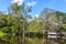 Hut in the village in the Amazon Rainforest, Manaos, Brazil