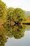 Hutovo Blato nature reserve, reflections in crystal clear water