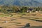 Huts on havested ricefield