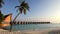 Huts in the sea and a palm tree