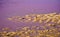 Hutt Lagoon pink salt lakes