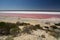 Hutt Lagoon. Port Gregory. Western Australia. Australia