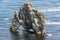 Hvitserkur troll rock basalt stack in Iceland