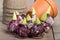 Hyacinth bulbs with pots to plant