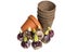 Hyacinth bulbs with pots to plant