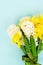 Hyacinth and daffodils