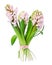 Hyacinth flower