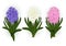 Hyacinth flower set