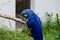 Hyacinth macaw cleaning his beak