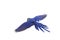 Hyacinth macaw flying isolated on a white background.