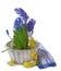 Hyacinth, muscari with an easters rabbit and egg in a white bas