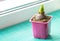 a hyacinth sprout in a pink pot stands on the windowsill, copy space