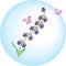 Hyacinth vector flower