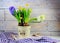 Hyacinths and daffodils in ceramic pots